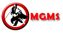 mgms-securité